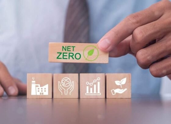 Green Entrepreneurship in the Middle East